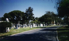 Panaramic of cemetary with pyramid in the far right